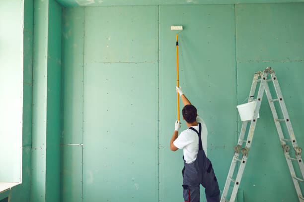 Trusted Highland Lakes, AL Mold Removal Experts