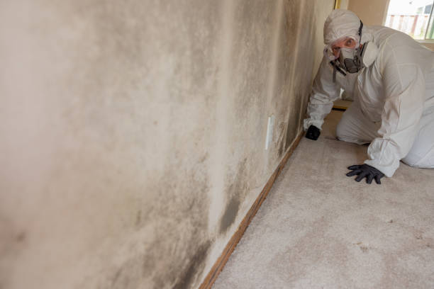 Best Residential Mold Inspection & Testing  in Highland Lakes, AL
